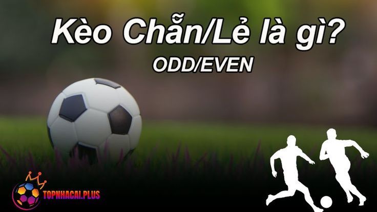 Các ưu điểm khi chơi kèo chẵn lẻ tại Ax88 Các ưu điểm khi chơi kèo chẵn lẻ tại Ax88